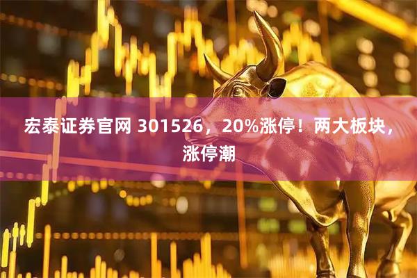 宏泰证券官网 301526，20%涨停！两大板块，涨停潮