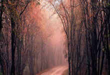 炒股配资选配:股票加杠杆利率多少-外卖大战还没停火 线下折扣烽烟又起！京东、盒马、美团“巷战”折扣超市